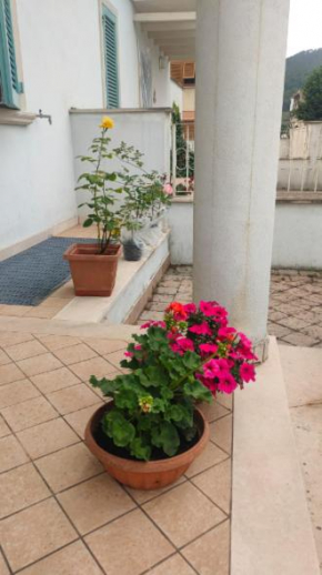 Casa delle Rose